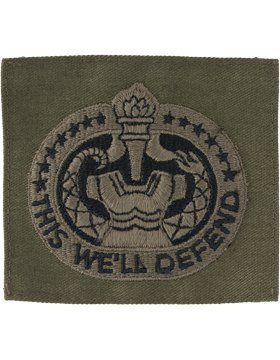Army Badge: Drill Instructor - Subdued Sew On         