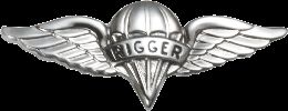 Army Badge: Rigger - Silver Oxide