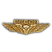 USMC RECON WINGS PIN  