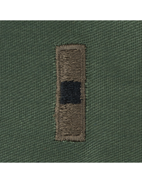 Officer Subdued Sew On: Warrant Officer 1