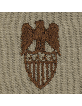 Army Officer Branch Insignia: Aide To General - Desert Sew On    
