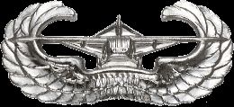 Army Badge: Airborne Glider No Shine 