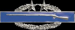 Army Badge: Combat Infantry Third Award - Silver Oxide 