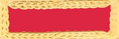 ARMY MERITORIOUS UNIT COMMEDATION PIN  