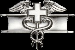 Army Badge: Expert Field Medical - Silver Oxide  