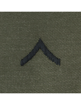Enlisted Subdued Sew On: Private