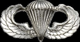 Army Badge: Parachute - Silver Oxide  