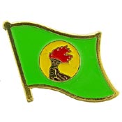 ZAIRE FLAG PIN 1"  
