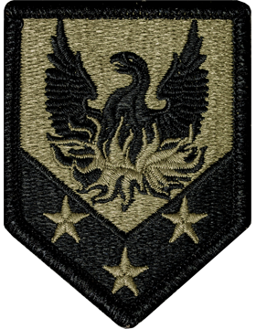 OCP Unit Patch: 110th Combat Support Brigade - With Fastener