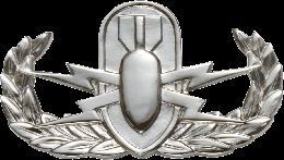 Army Badge: Explosive Ordnance Disposal - Silver Oxide