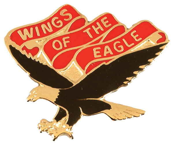 101 AVIATION BN  (WINGS OF THE EAGLE)   