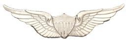 Army Badge: Aviator - No Shine