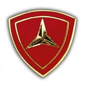 3RD MARINE DIVISION PIN  