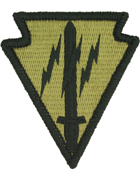 OCP Unit Patch: 219th Battlefield Surveillance Brigade - With Fastener