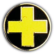 33RD INFANTRY DIVISION PIN  