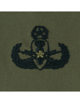 Army Badge: Master Explosive Ordnance Disposal - Subdued Sew On    