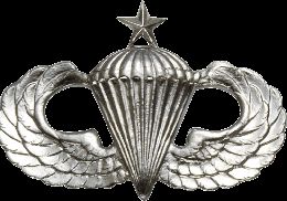 Army Badge: Senior Parachute - Silver Oxide