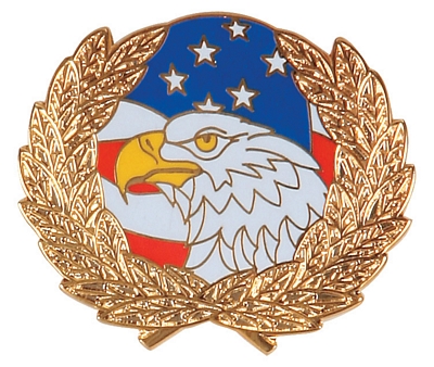 EAGLE WITH FLAG AND WREATH PIN  