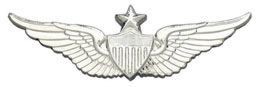 Army Badge: Senior Aviator - No Shine  