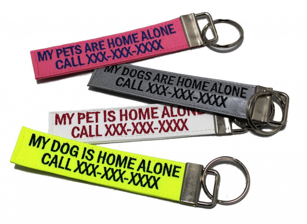 Emergency Dog / Pet Keychain / Name Tag