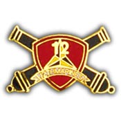 12TH MARINES PIN  