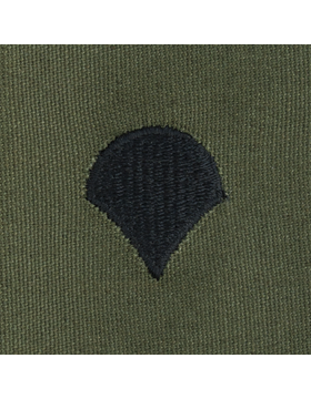 Enlisted Subdued Sew On: Specialist Four