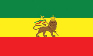 Ethiopia - Lion    