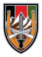 Combat Service ID Badge