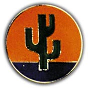 103RD INFANTRY DIVISION PIN  