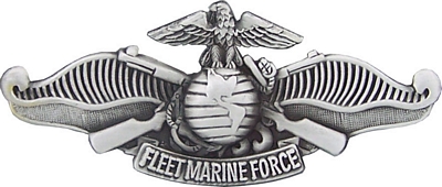 USMC FLEET MARINE FORCE PIN  