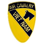 1ST CAVALRY VIETNAM PIN  
