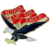WINGS OF THE EAGLE PIN  