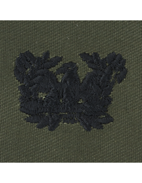 Army Officer Branch Insignia - Subdued Sew On      