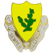 12TH CAVALRY PIN  