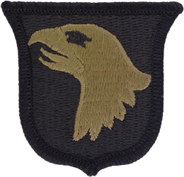 OCP Unit Patch: 101st Airborne Division - With Fastener