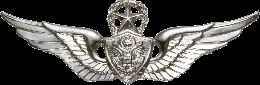 Army Badge: Master Aircrew - Silver Oxide