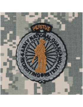 Army Badge: Army National Guard Master Recruiting (Pair)