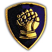 46TH INFANTRY DIVISION PIN  