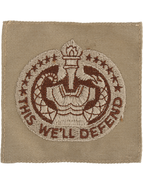 Army Badge: Drill Instructor - Desert Sew On