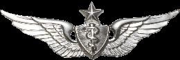Army Badge: Senior Flight Surgeon - Silver Oxide
