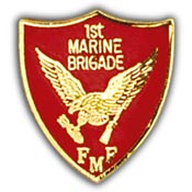 1ST FLEET MARINE FORCE PIN  