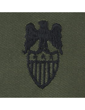 Army Officer Branch Insignia: Aide to Lieutenant General - Subdued Sew On   