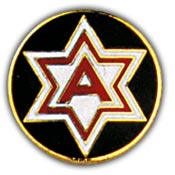 6TH ARMY PACIFIC PIN  