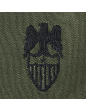 Army  Officer Branch Insignia: Aide To Brigadier General  - Subdued Sew On    