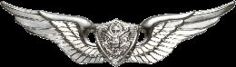 Army Badge: Aircrew - Silver Oxide   