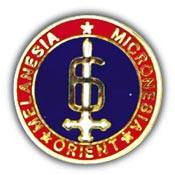 6TH MARINE DIVISION PIN  