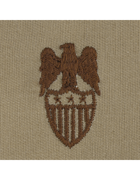 Army Officer Branch Insignia: Aide to Lieutenant General - Desert Sew On