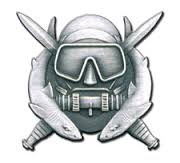 Army Badge: Special Operations Diver - Silver Oxide  