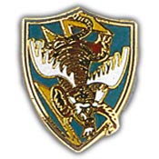23RD FLYING TIGERS PIN 1"  
