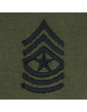 Enlisted Subdued Sew On: Sergeant Major